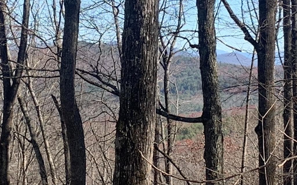 102 Badger Road, Blairsville GA 30512 - Photo