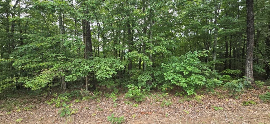 102 Badger Road, Blairsville GA 30512 - Photo