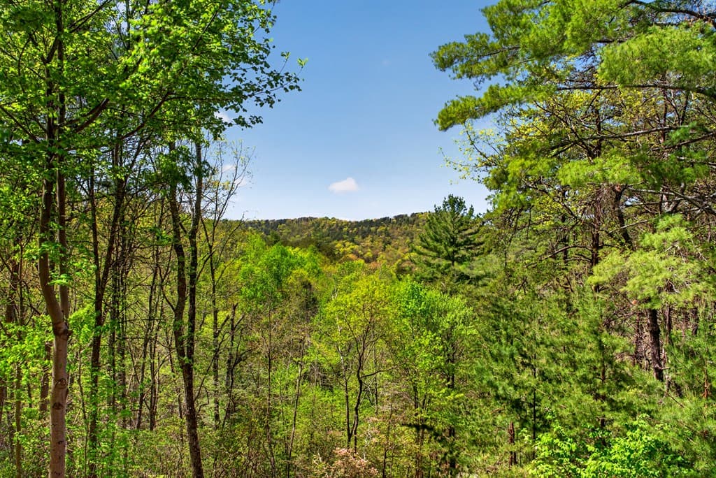 564 Weaver Creek Lane, Blue Ridge GA 30513 - Photo
