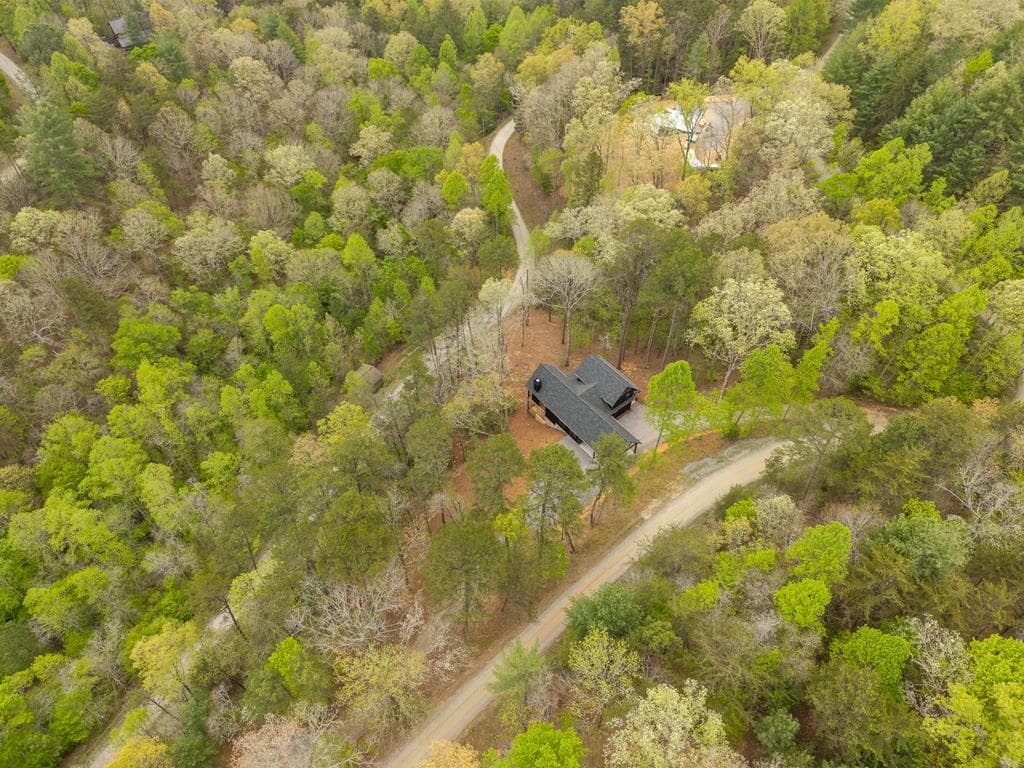 250 Wolf Creek Circle, Mineral Bluff GA 30559 - Photo