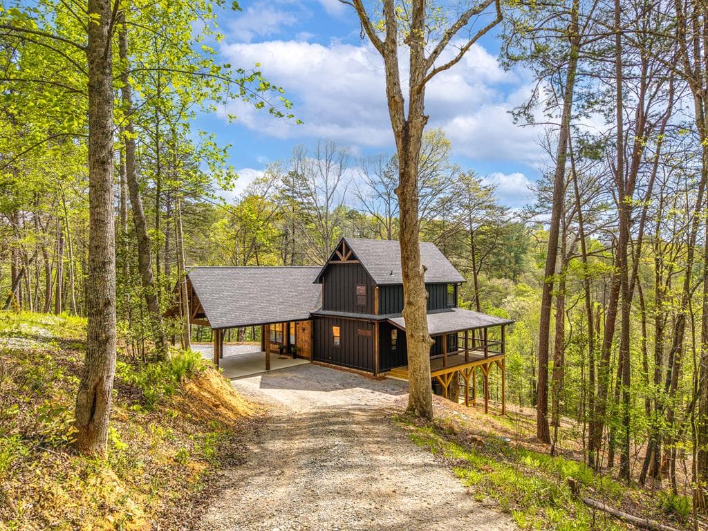 250 Wolf Creek Circle, Mineral Bluff GA 30559 - Photo