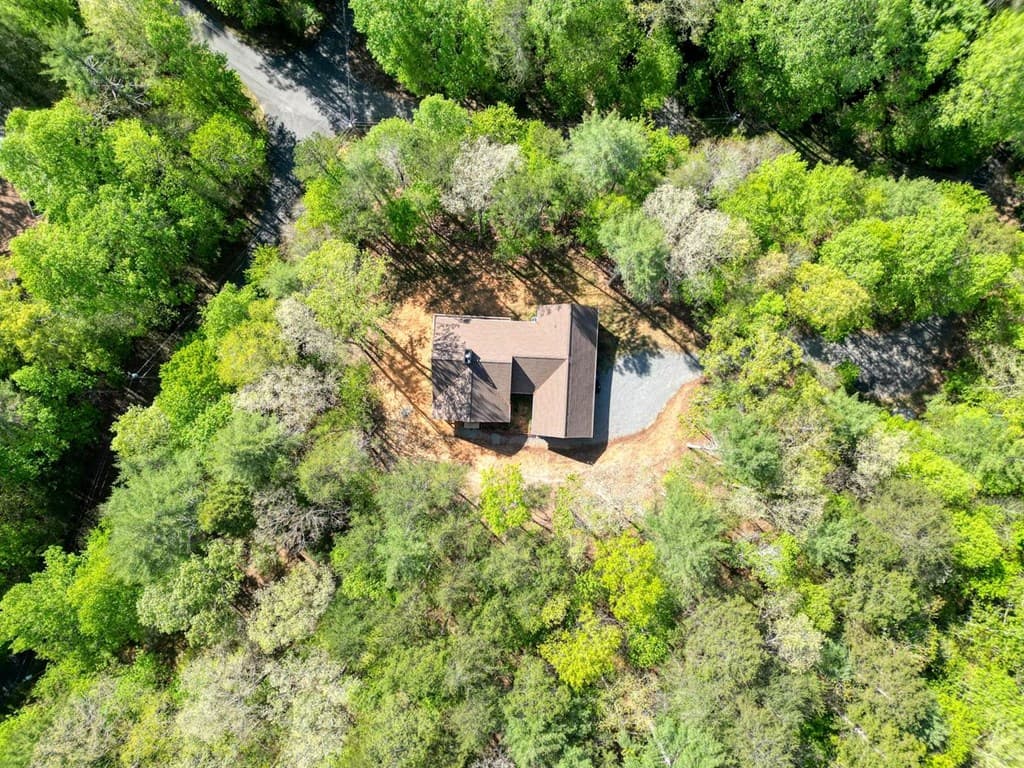 618 S Satsuma Court, Ellijay GA 30540 - Photo