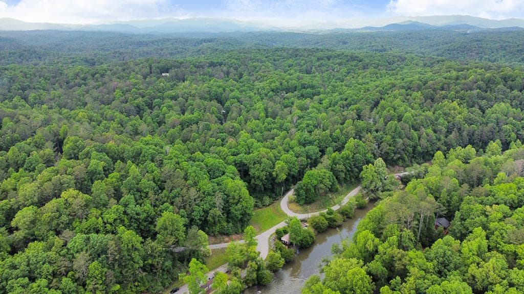123 Pamela Court, Ellijay GA 30540 - Photo