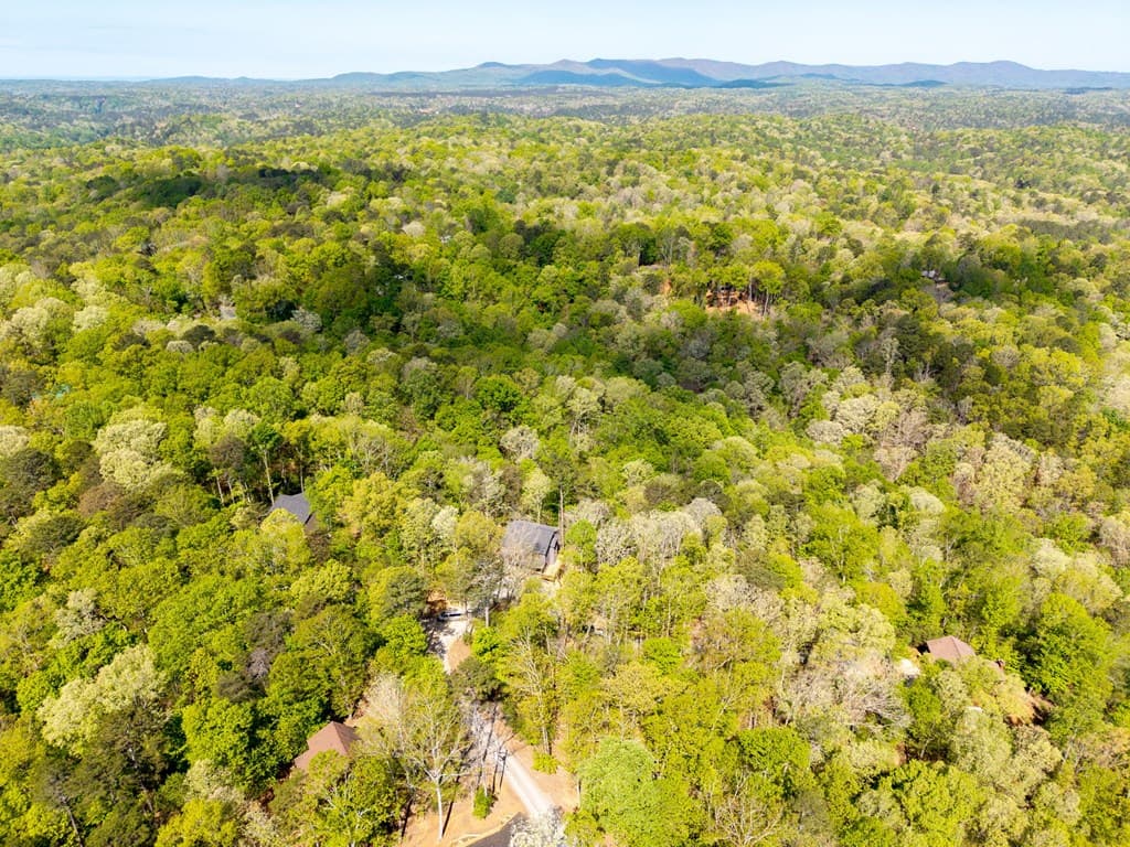 123 Pamela Court, Ellijay GA 30540 - Photo