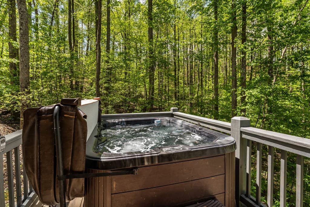 431 Little Bushy Head Road, Blue Ridge GA 30513 - Photo
