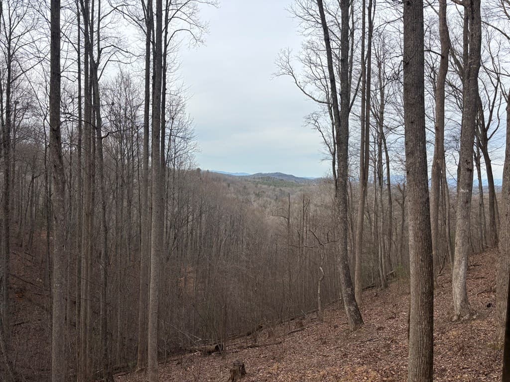 431 Little Bushy Head Road, Blue Ridge GA 30513 - Photo