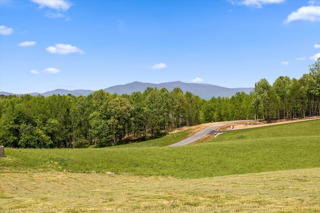Lot 2 Bravo Way, Talking Rock GA 30175 - Photo