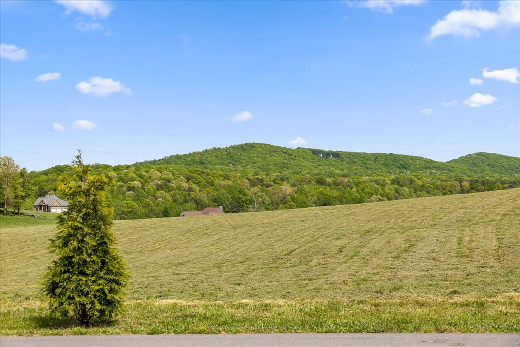 Lot 2 Bravo Way, Talking Rock GA 30175 - Photo