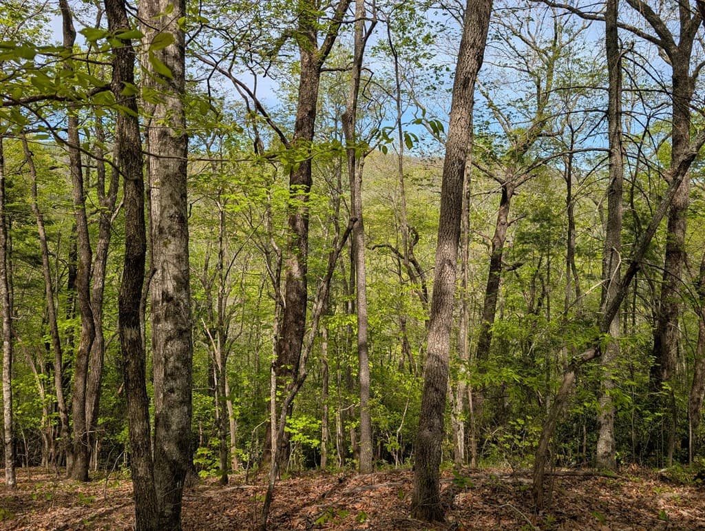 348 Atali Circle, Murphy MD 20906 - Photo