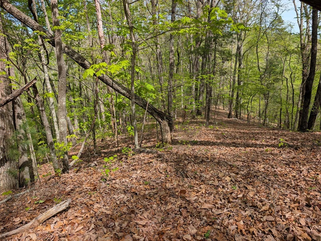 348 Atali Circle, Murphy MD 20906 - Photo