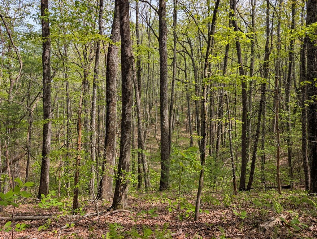 348 Atali Circle, Murphy MD 20906 - Photo