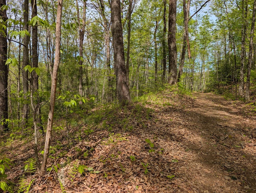 348 Atali Circle, Murphy MD 20906 - Photo