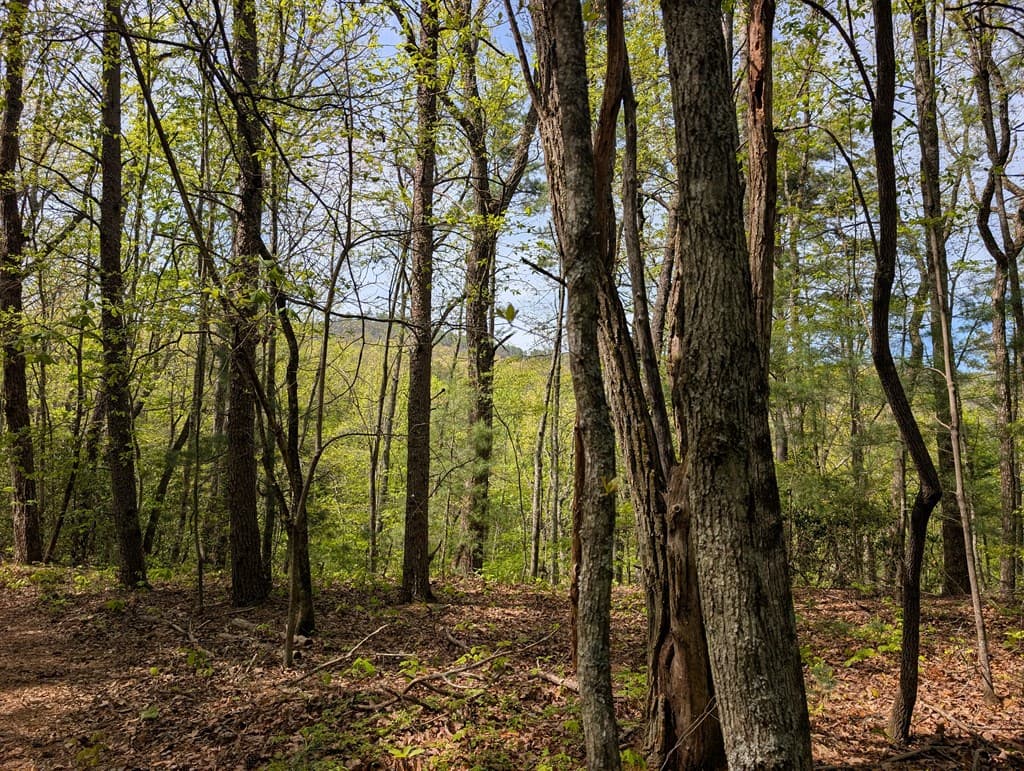 348 Atali Circle, Murphy MD 20906 - Photo