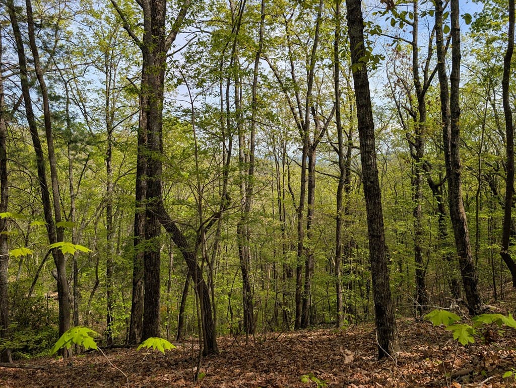 348 Atali Circle, Murphy MD 20906 - Photo