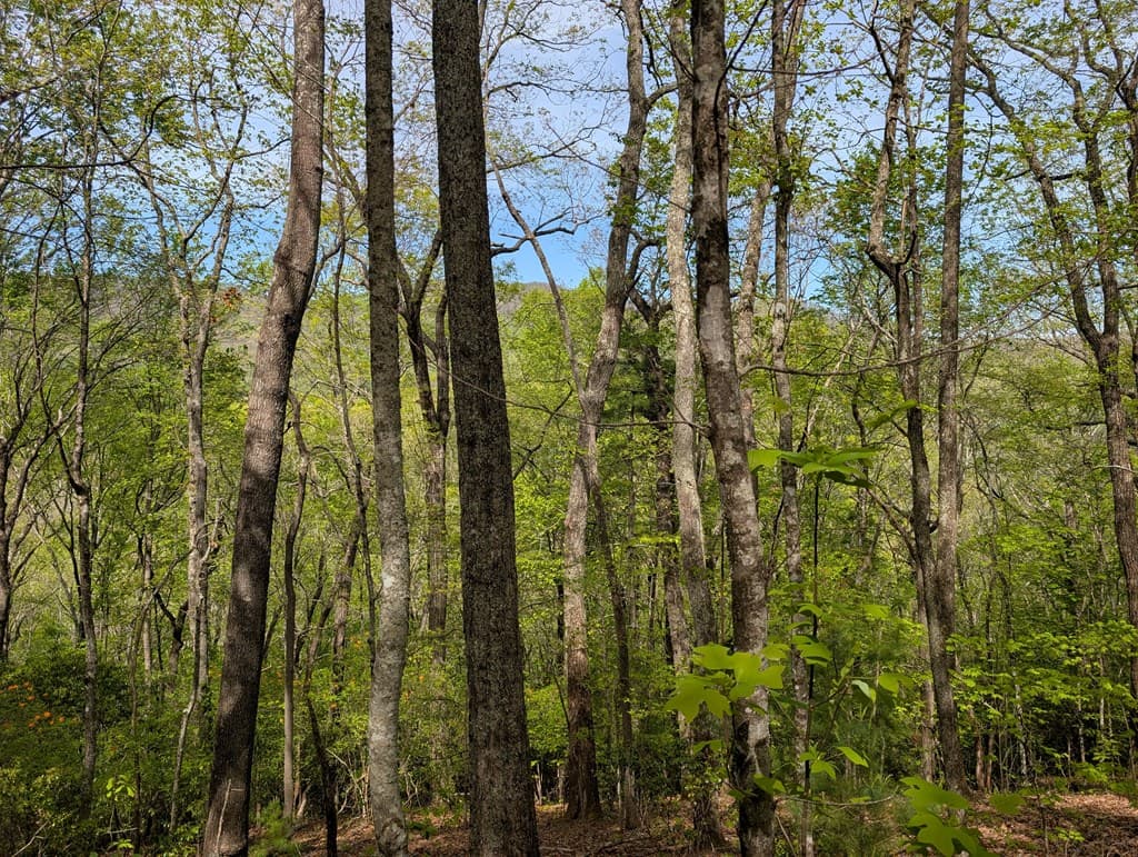 348 Atali Circle, Murphy MD 20906 - Photo