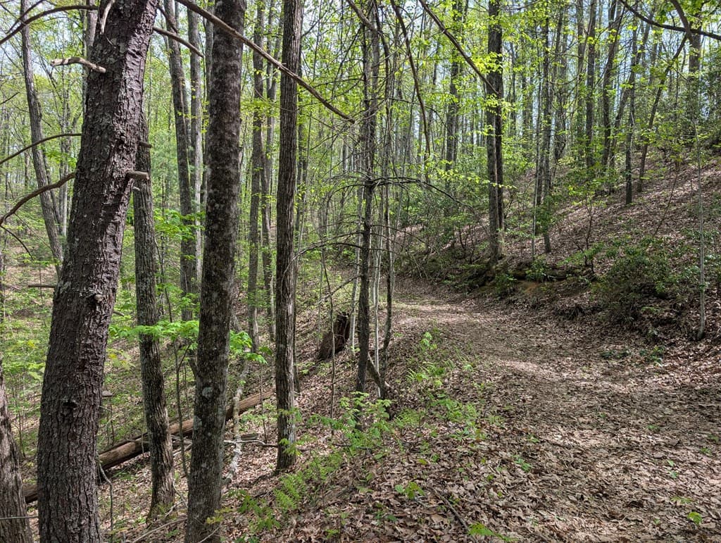 348 Atali Circle, Murphy MD 20906 - Photo