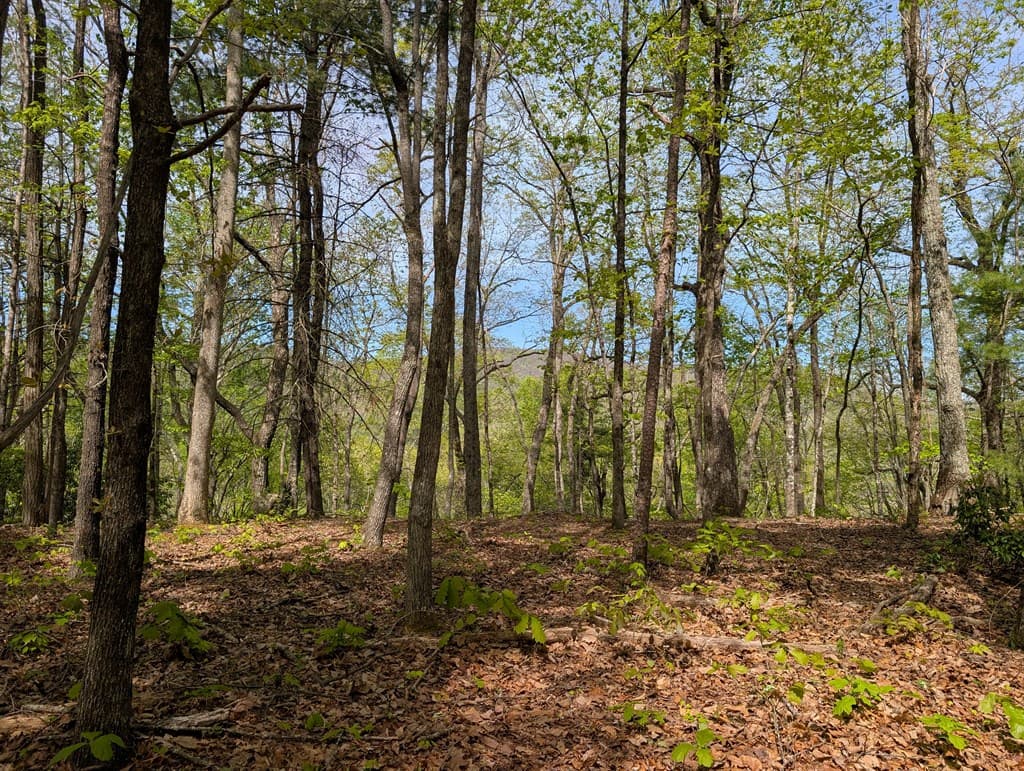 348 Atali Circle, Murphy MD 20906 - Photo