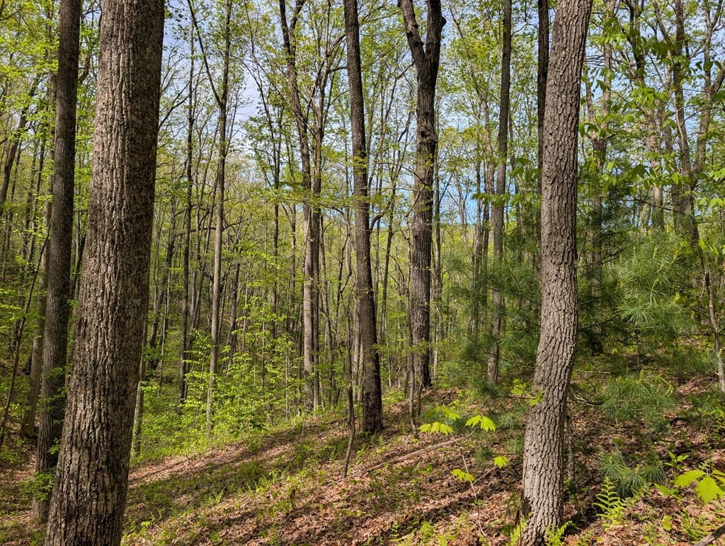 348 Atali Circle, Murphy MD 20906 - Photo