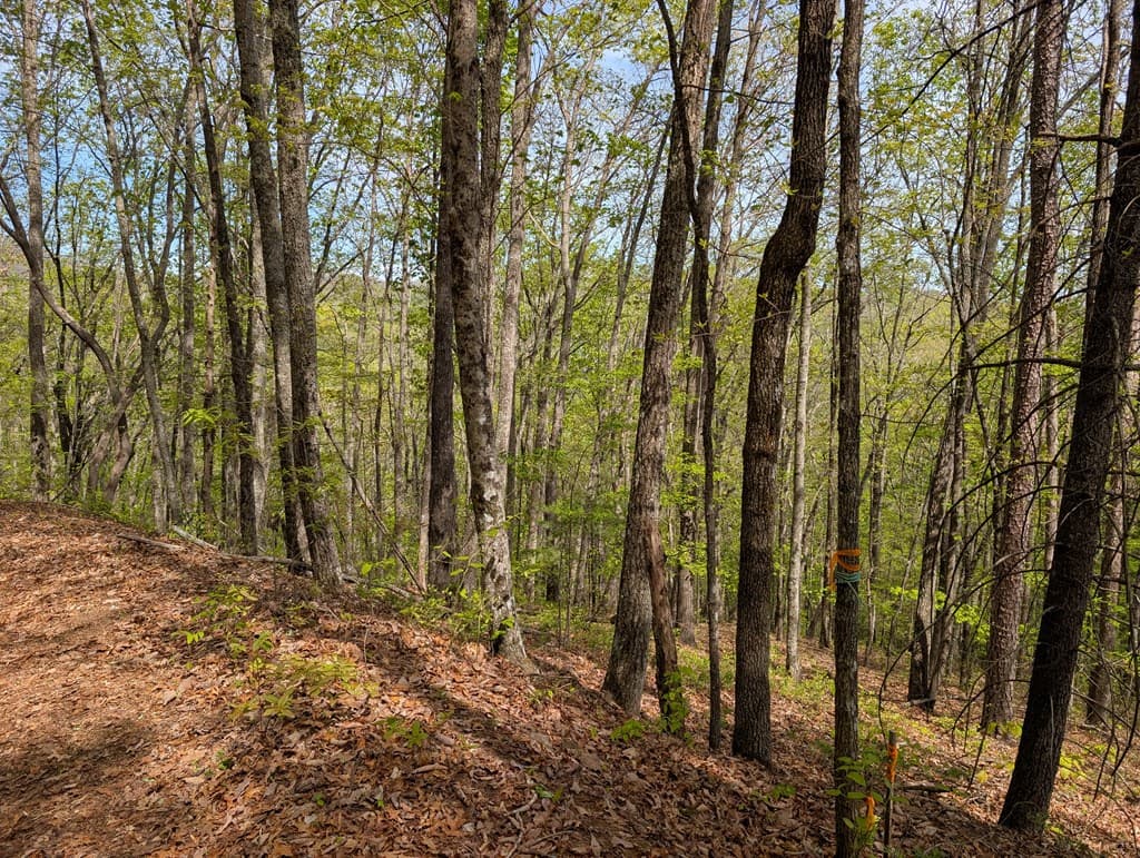 348 Atali Circle, Murphy MD 20906 - Photo
