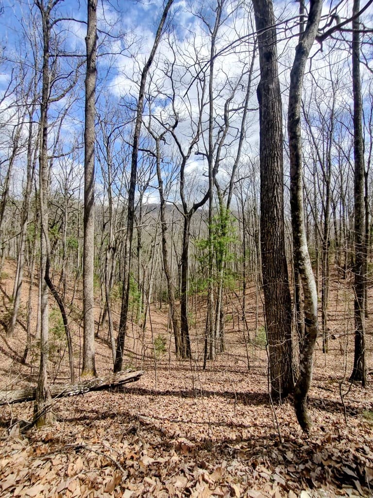 348 Atali Circle, Murphy MD 20906 - Photo
