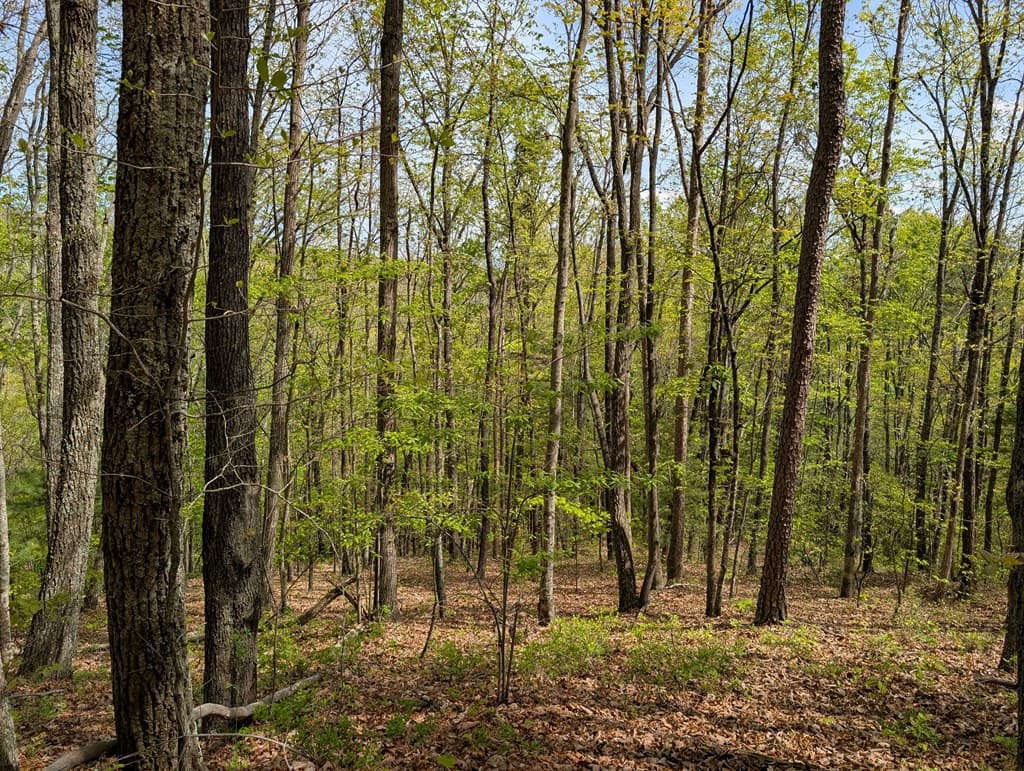 348 Atali Circle, Murphy MD 20906 - Photo