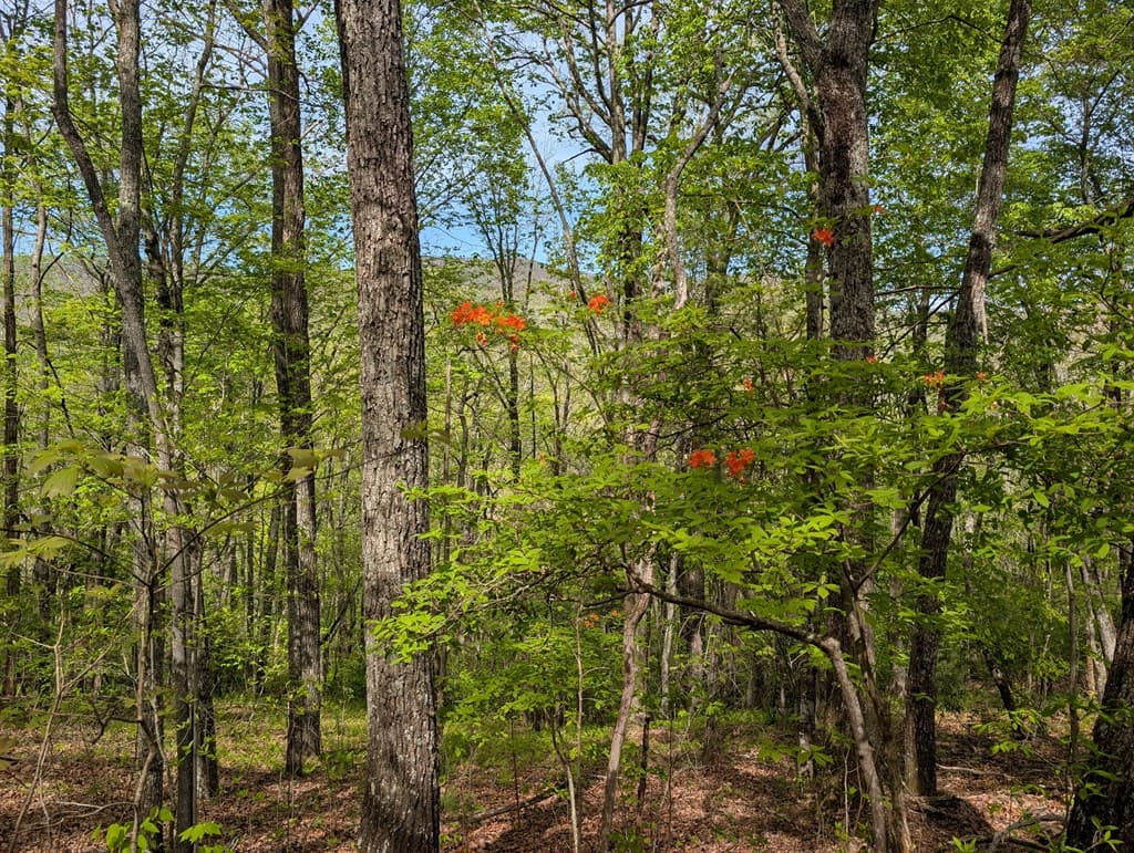 348 Atali Circle, Murphy MD 20906 - Photo