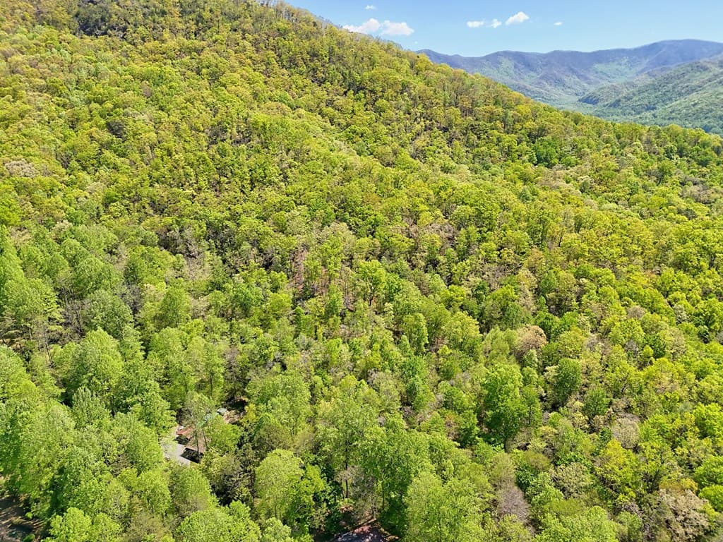 8 Stoney Brook Trail, Hayesville NC 28904 - Photo