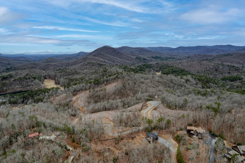49 Chestnut Overlook, Blue Ridge GA 30513 - Photo