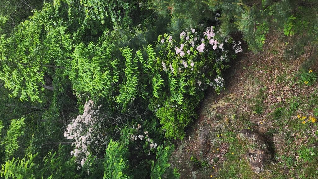 299 Bethabara View, Hayesville NC 28904 - Photo