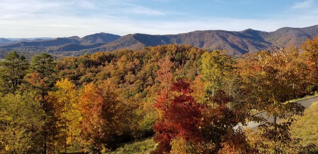 299 Bethabara View, Hayesville NC 28904 - Photo