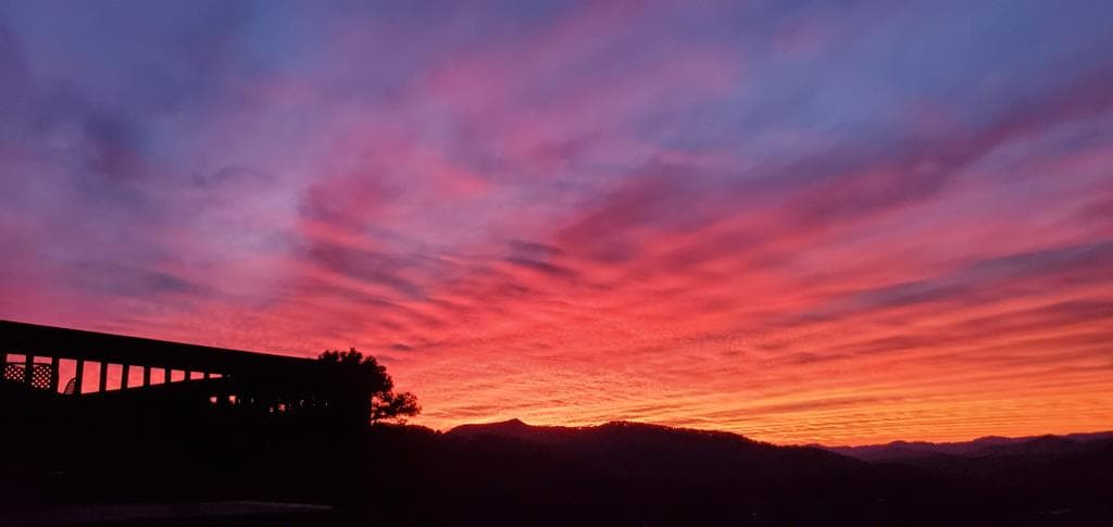 299 Bethabara View, Hayesville NC 28904 - Photo