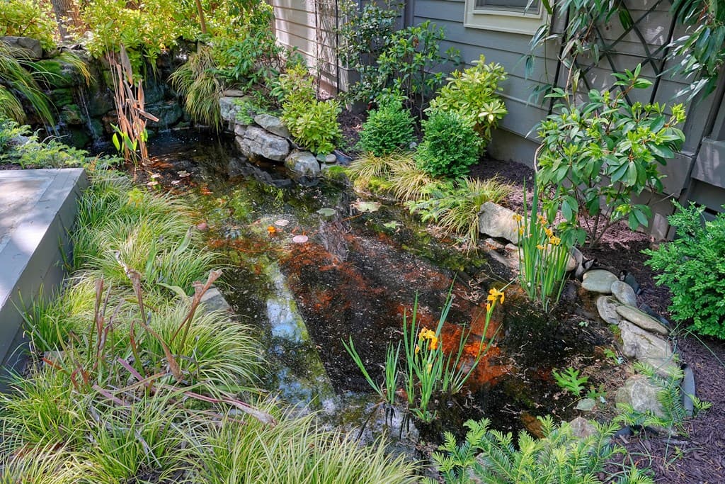 230 Chestnut Rise Trail, Big Canoe GA 30143 - Photo