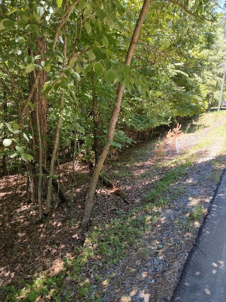 Lot 853 Matrix Lane, Ellijay GA 30540 - Photo
