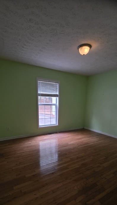 53 Hollow Hill Spur, Blairsville GA 30512 - Photo