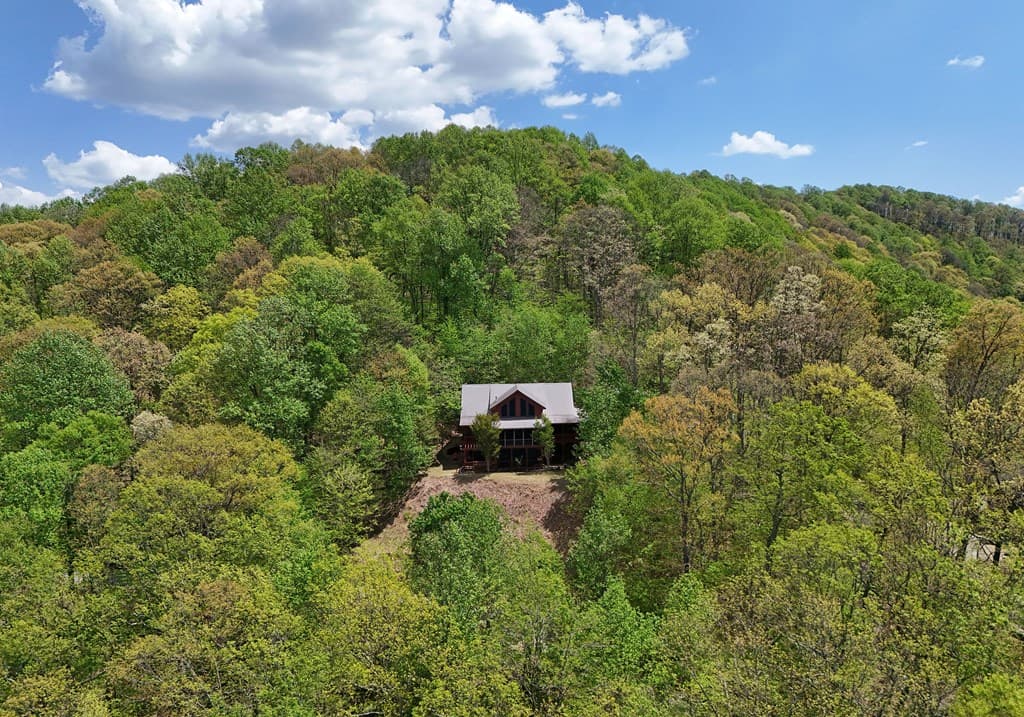 327 Prospectors Pass, Ellijay GA 30536 - Photo