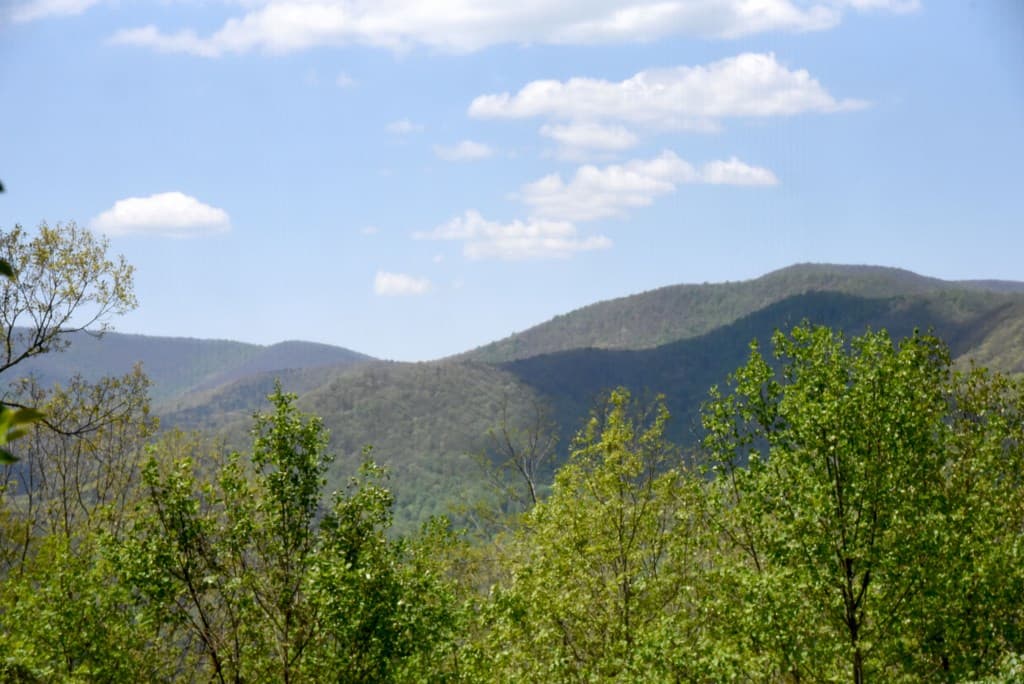 327 Prospectors Pass, Ellijay GA 30536 - Photo