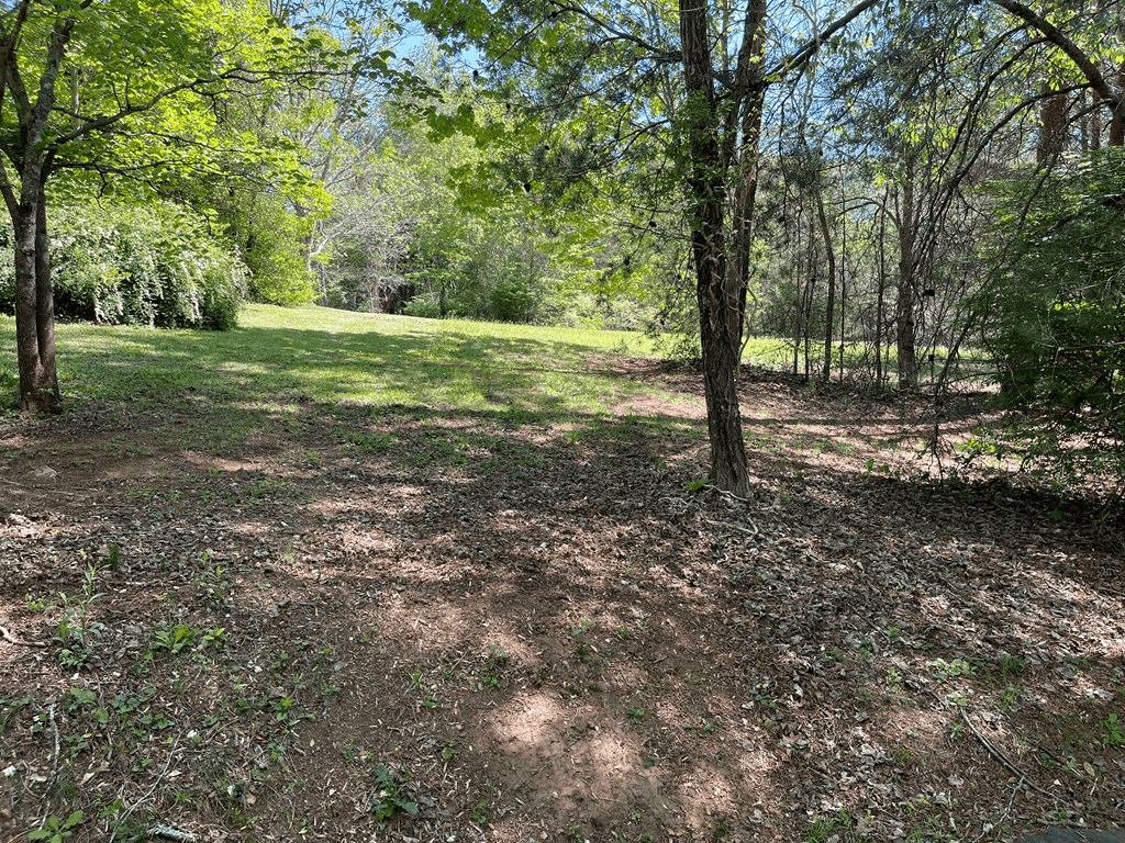 Lot 71A Licklog Ridge, Hayesville NC 28904 - Photo