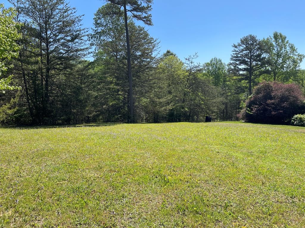 Lot 71A Licklog Ridge, Hayesville NC 28904 - Primary photo