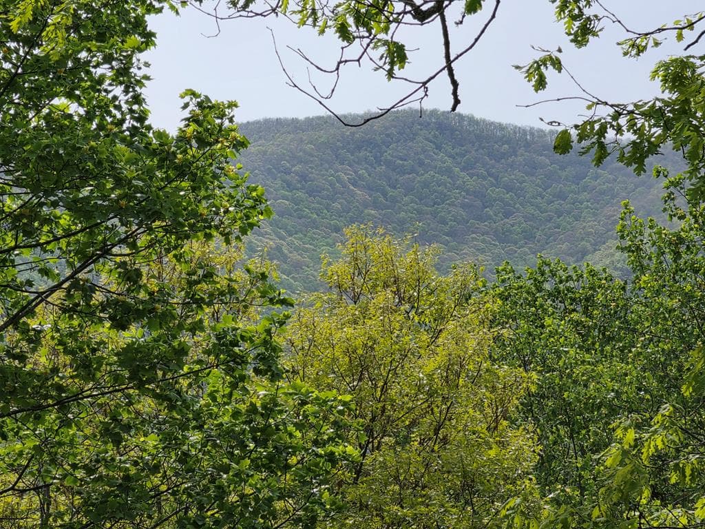 3204 Creek View Road, Hiawassee GA 30546 - Photo