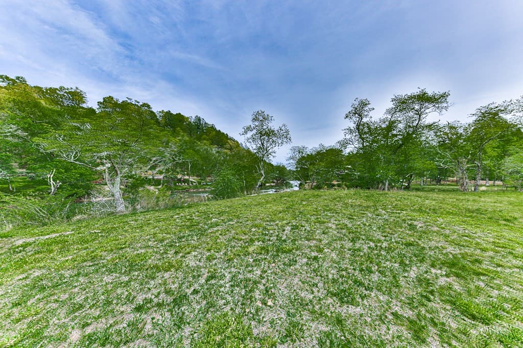 88 Black Gum Lane, Blue Ridge GA 30513 - Photo