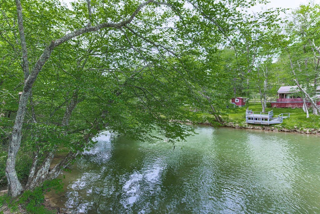 88 Black Gum Lane, Blue Ridge GA 30513 - Photo