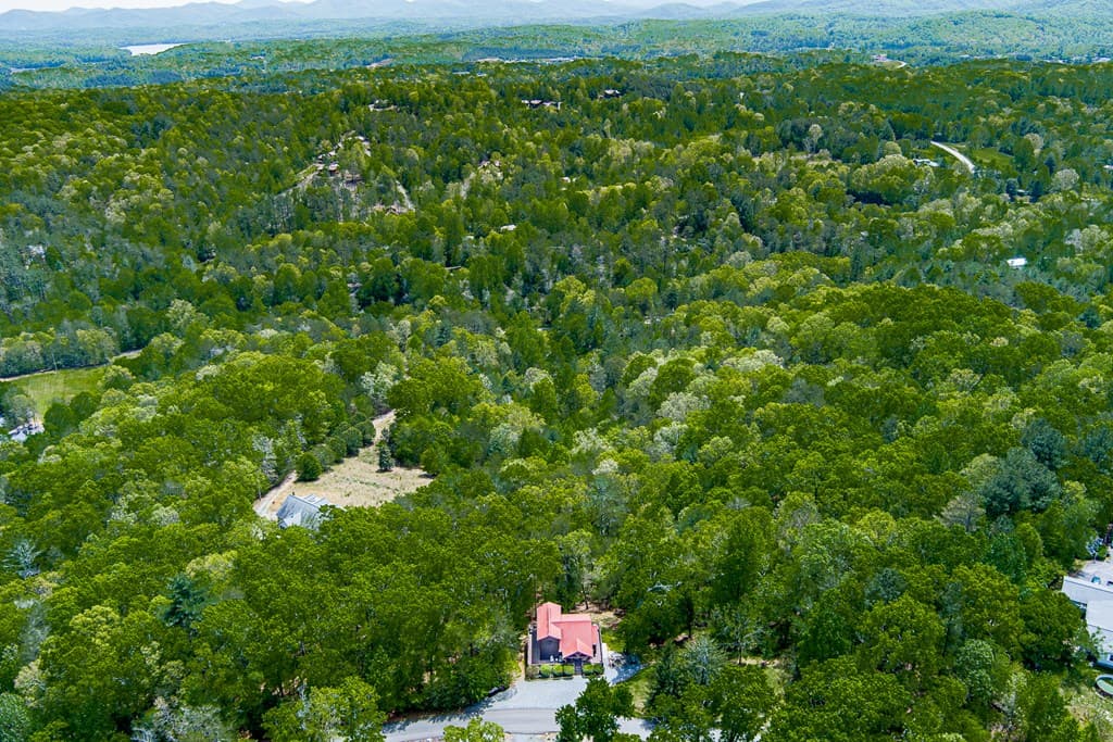 88 Black Gum Lane, Blue Ridge GA 30513 - Photo