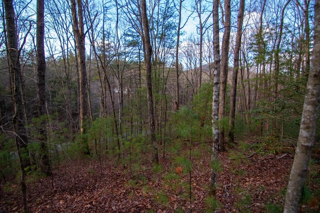 Lot 1 Rock Creek, Cherry Log GA 30522 - Photo