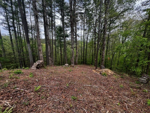 109R Red Oak Trail, Ellijay GA 30540 - Photo