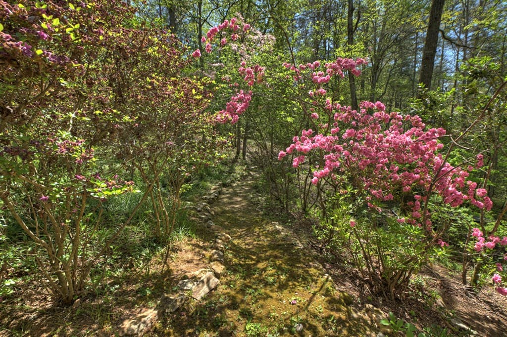 509 Ponderosa, Ellijay GA 30540 - Photo