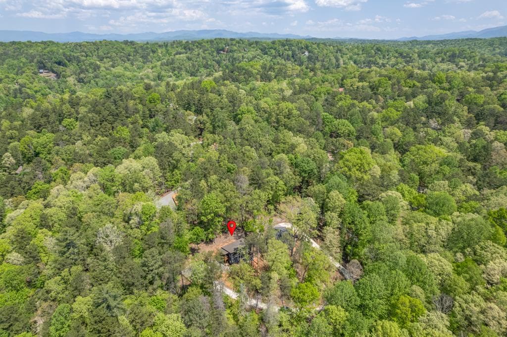 200 Echo Lane, Ellijay GA 30540 - Photo