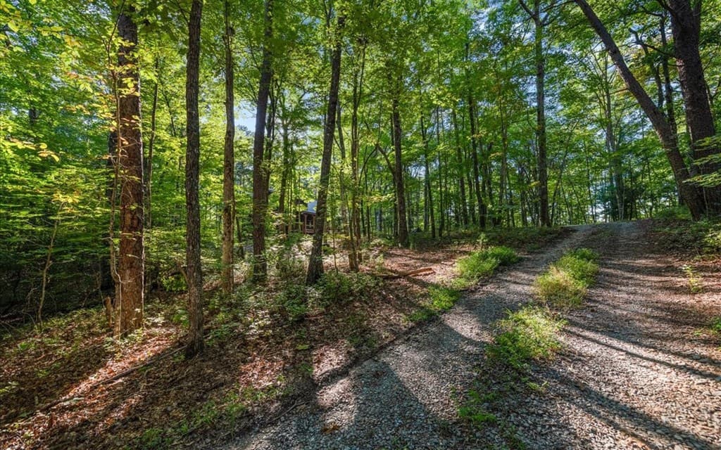 150 Laurel Trace, Blue Ridge GA 30513 - Photo