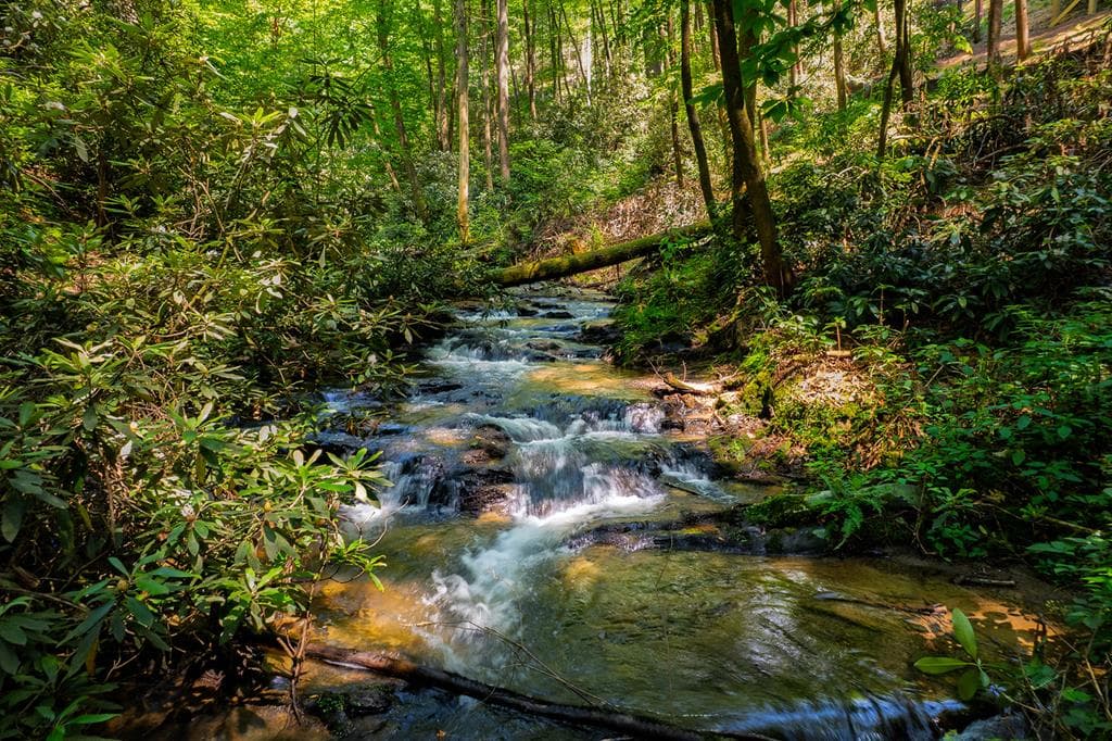 122 Laurel Creek Trail, Cherry Log GA 30522 - Photo