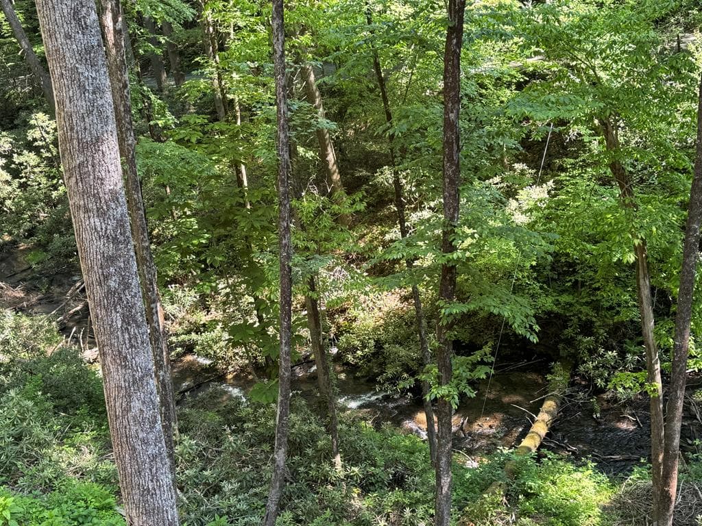 122 Laurel Creek Trail, Cherry Log GA 30522 - Photo