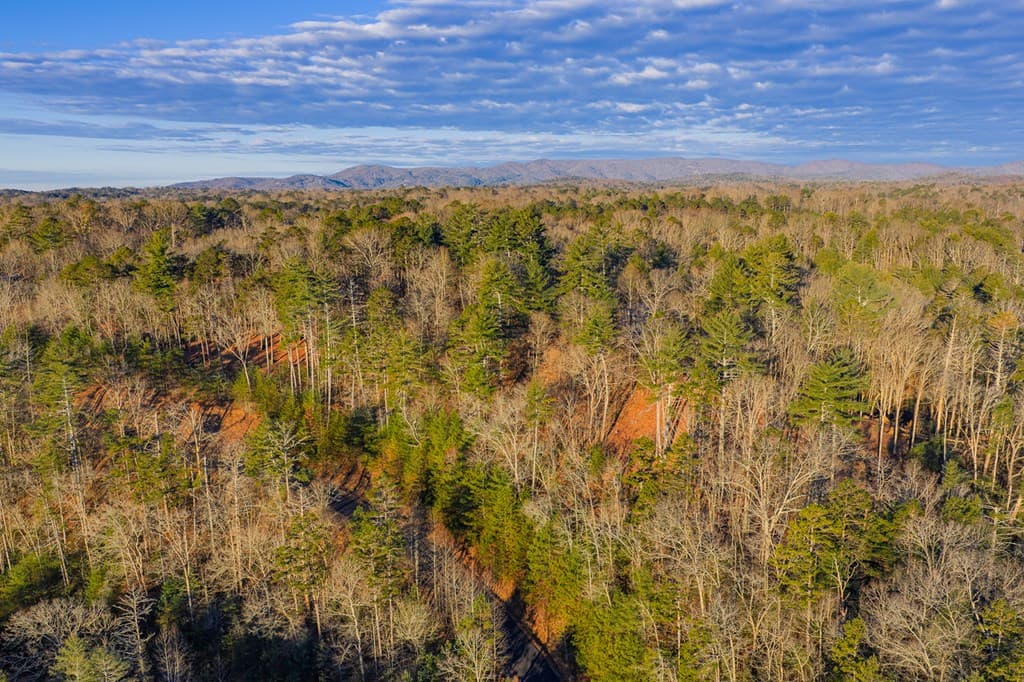 Lot 157 Roaring Forks Lane, Ellijay GA 30540 - Photo